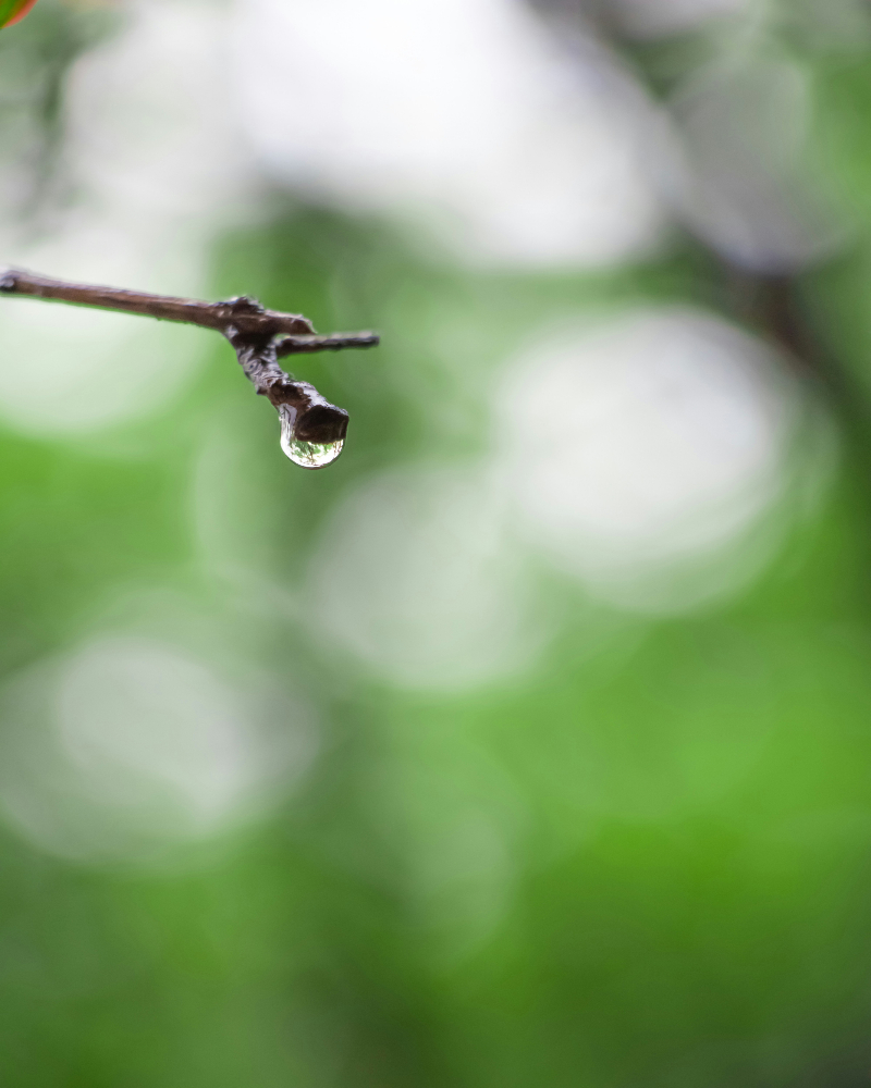 Environment-and-health research