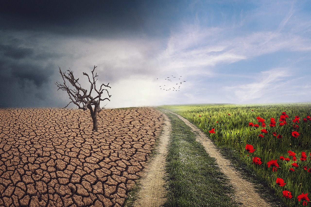 Earth-system and climate research