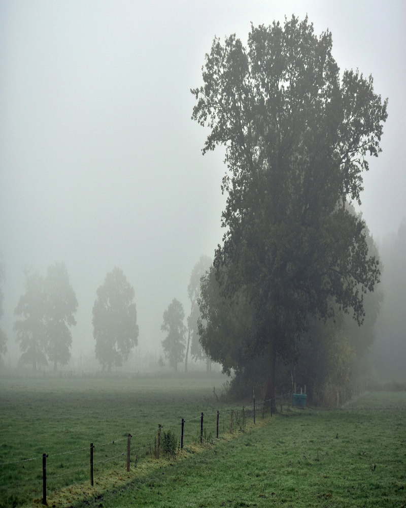 Atmospheric-composition research